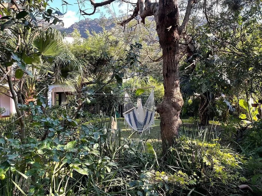 The View House- Antigua Guatemala Toda La Casa غواتيمالا